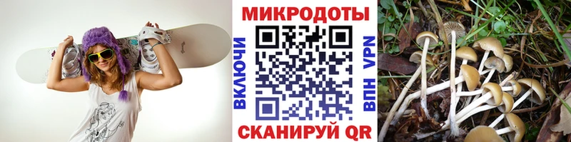 купить наркотик  Краснокамск  Псилоцибиновые грибы Psilocybine cubensis 